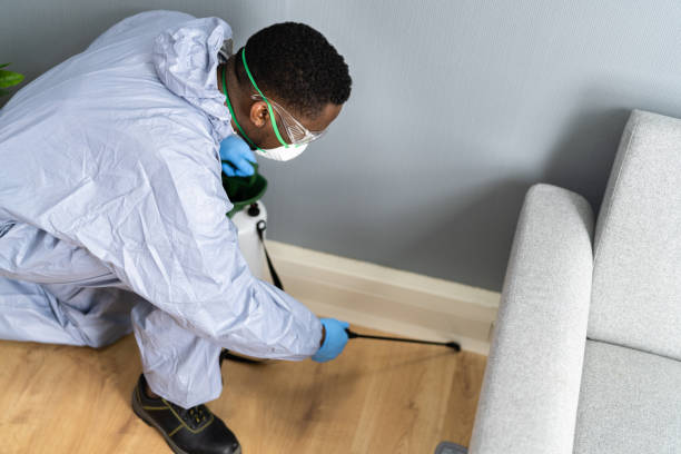 Best Residential Pest Control  in Stone Mountain, GA